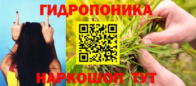 марихуана Кандалакша
