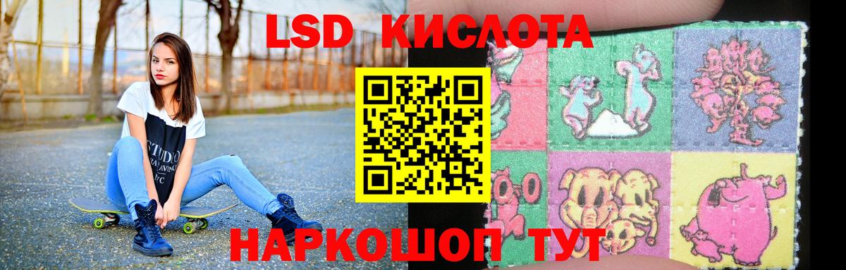 blacksprut как войти  Вход с VPN  Кулебаки  ЛСД экстази кислота 